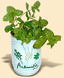 Can Flowers Corn Mint